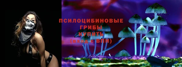 твердый Абинск