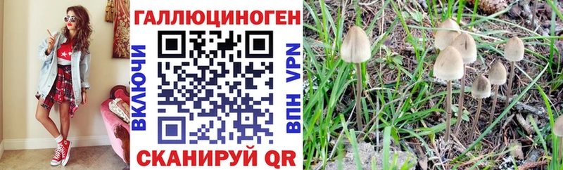 Галлюциногенные грибы мухоморы Тайга